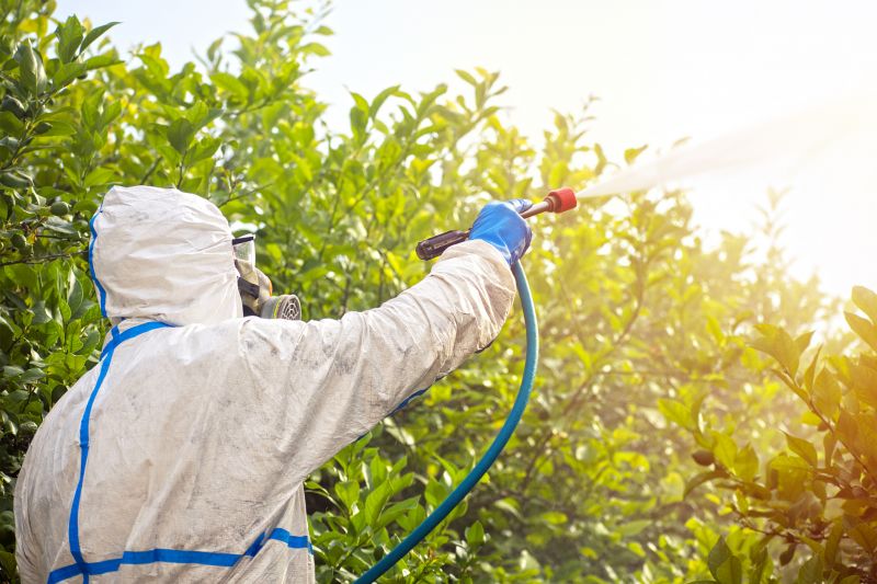 Fumigation Service in Myrtle Beach, SC