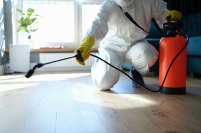 Trapdoor Spider Extermination in Mckinney, TX