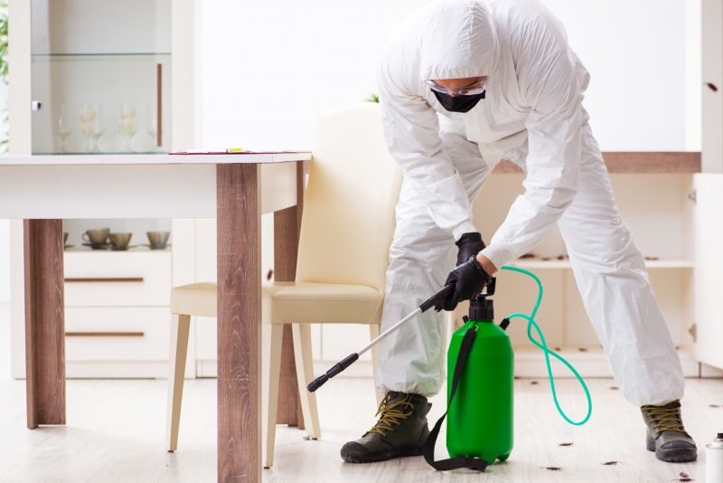 Extermination Service in Katy, TX