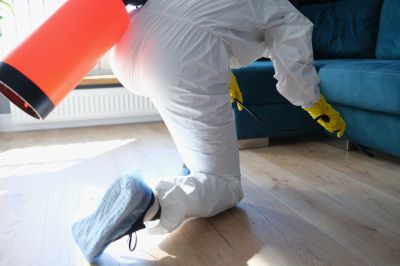 Pest Fumigation Service in Naperville, IL