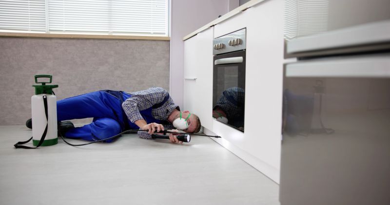 Cleaned and Protected Surface