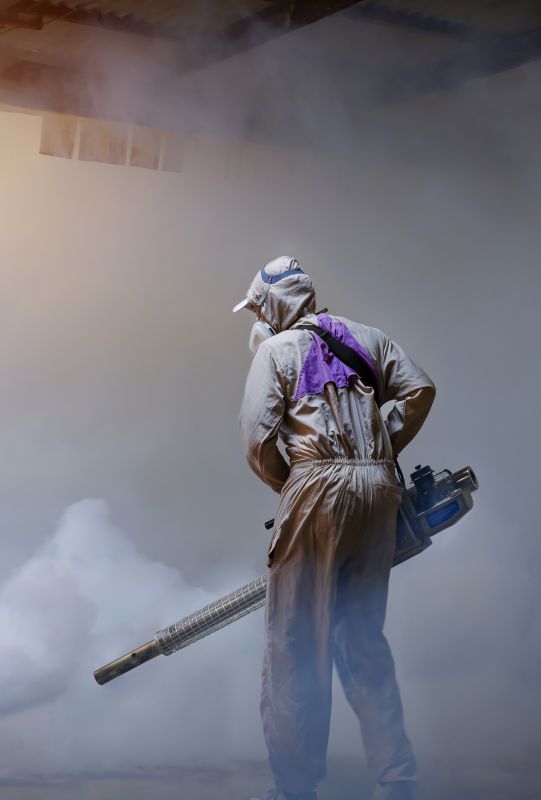 Rat Fumigation Service in Winston Salem, NC