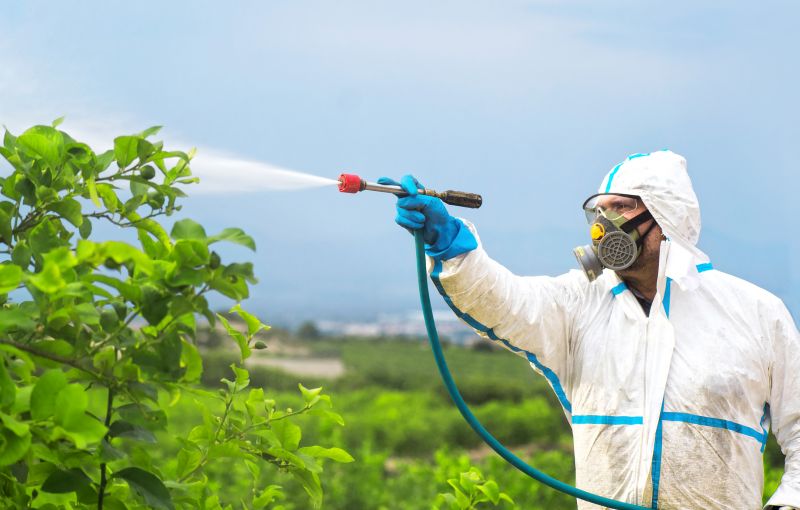 Roach Fumigation in Toledo, OH