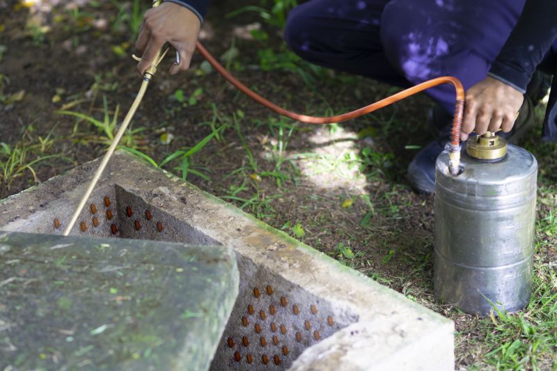 Roach Fumigation in Katy, TX