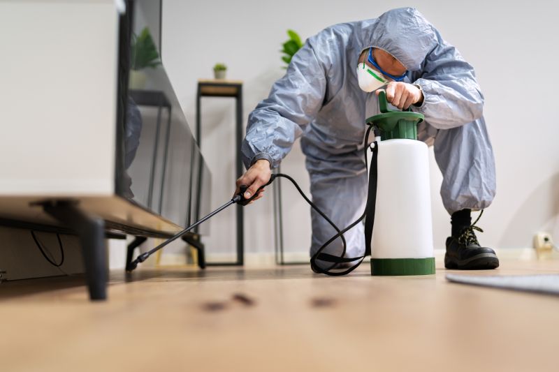 Roach Fumigation in Coeur D Alene, ID