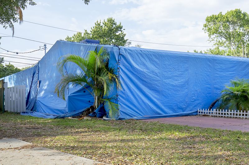 Termite Tenting in Asheville, NC